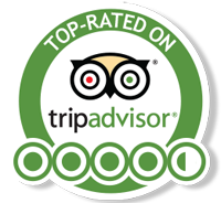 Review About Us on TripAdvisor